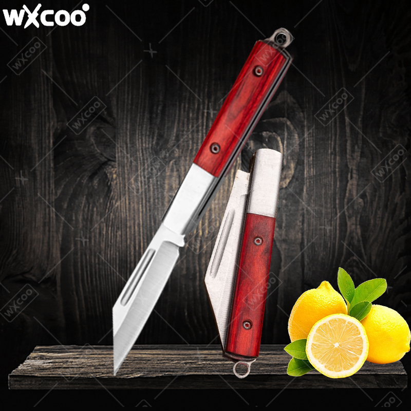Cuchillo de bolsillo de acero  - Kitchen Gadgets You Need reseña y precio