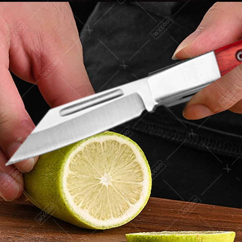 Cuchillo de bolsillo de acero  - Kitchen Gadgets You Need reseña y precio